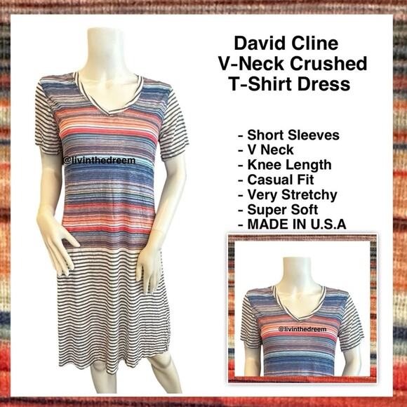NWT David Cline V-Neck Short Sleeve T-Shirt Dress SZ Small Stripe $119 - Picture 1 of 14